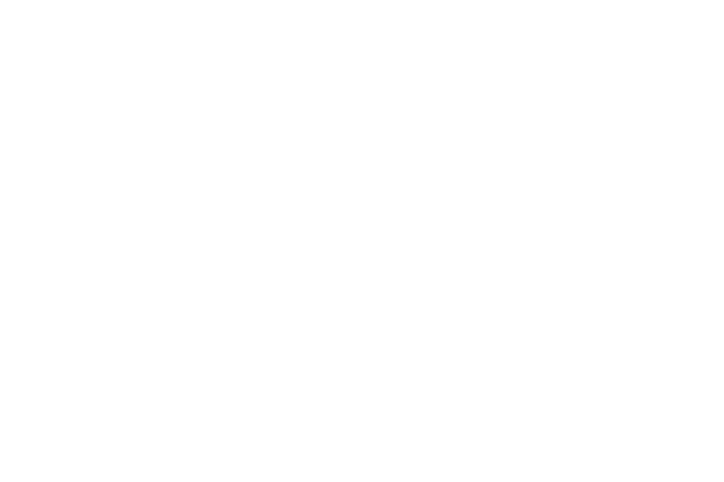 ROKI